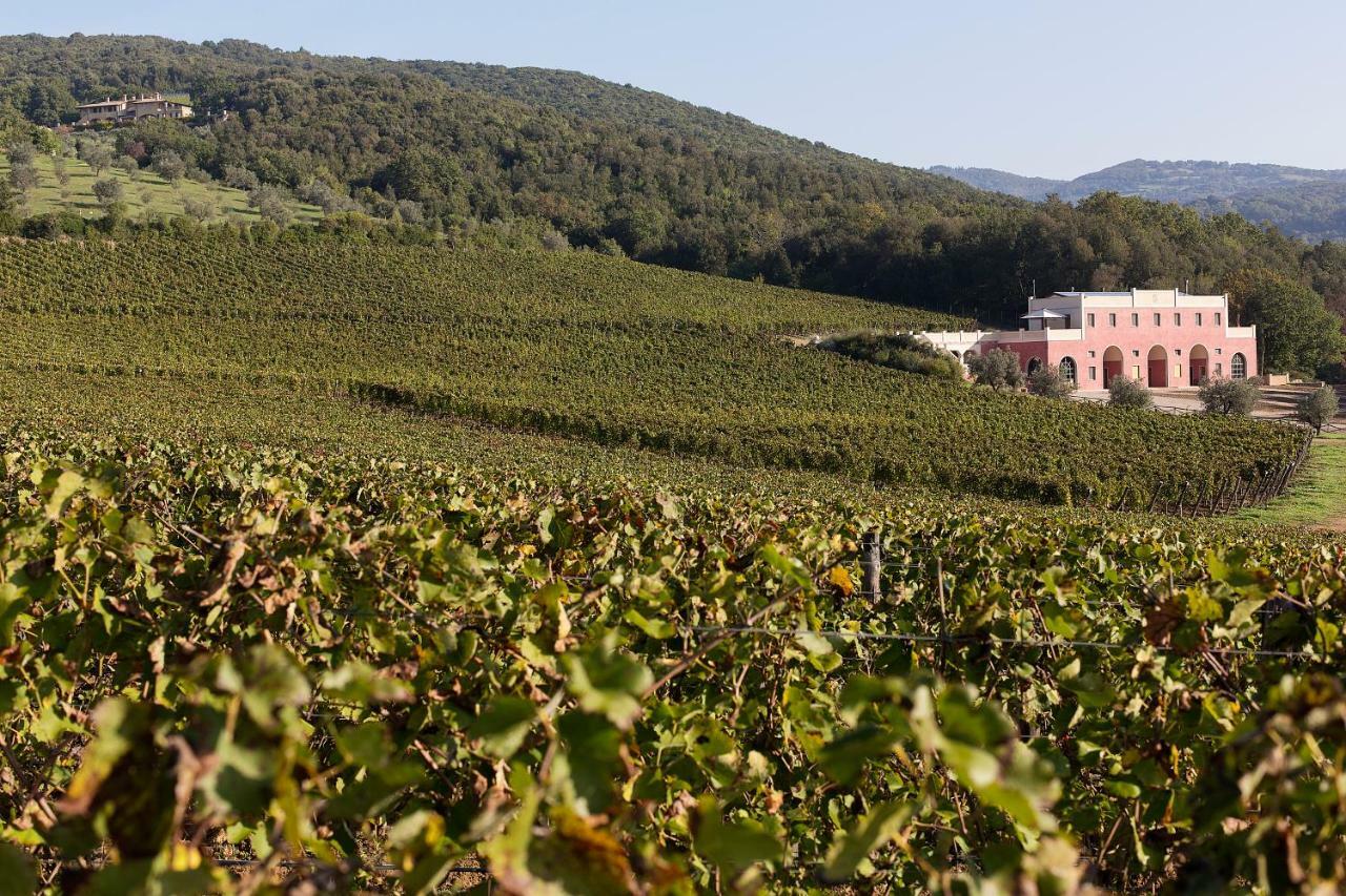 Tenuta Il Sassone - Wine&Food Massa Marittima Bagian luar foto